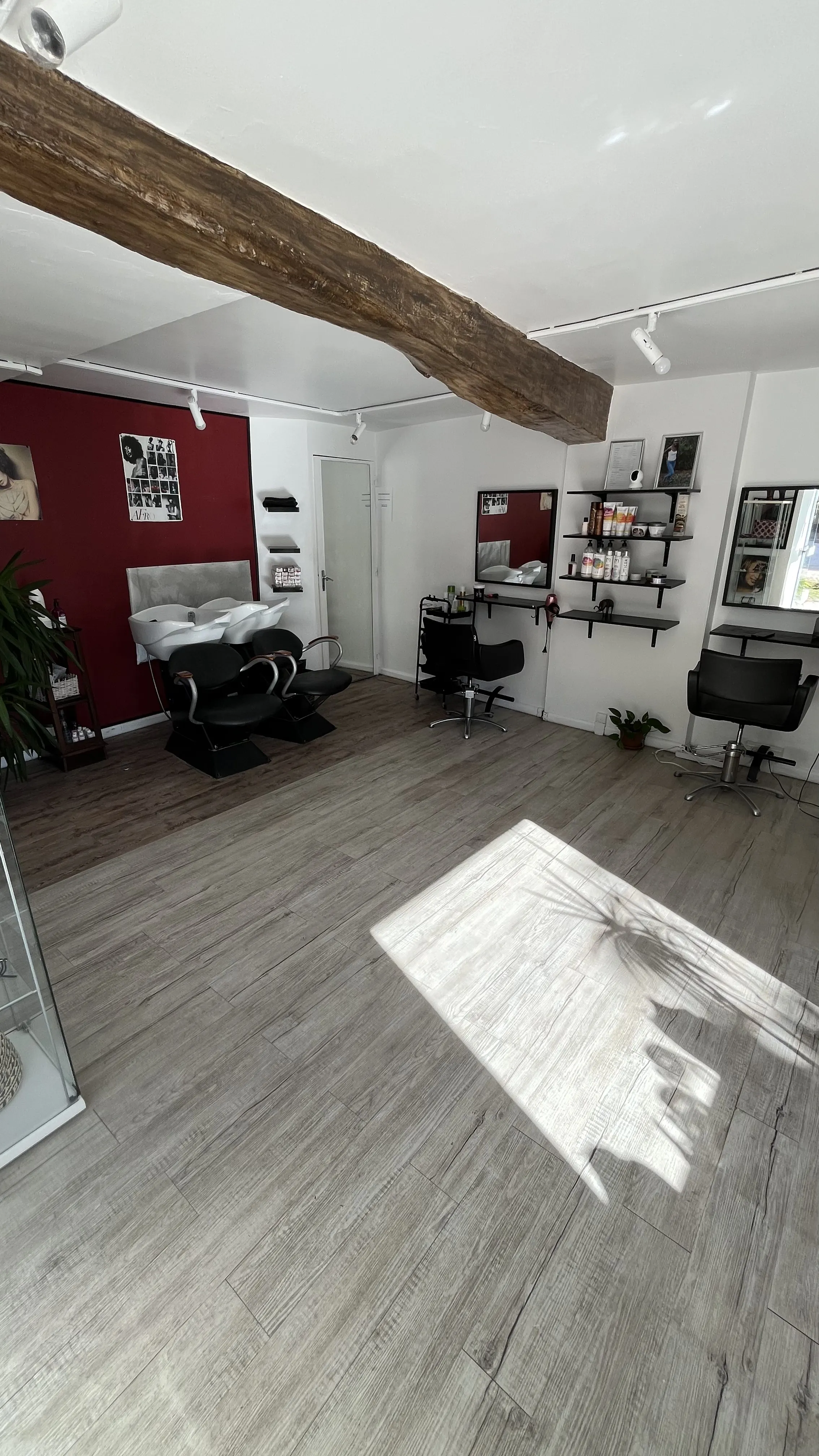 placeholder salon stella